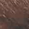 Brun moyen (6N)