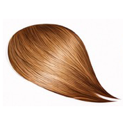 8G Golden Blonde Permanent Natural Hair Color Kit 4oz